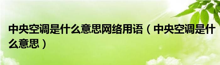 中央空调是什么意思网络用语（中央空调是什么意思）
