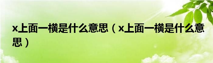 x上面一横是什么意思（x上面一横是什么意思）