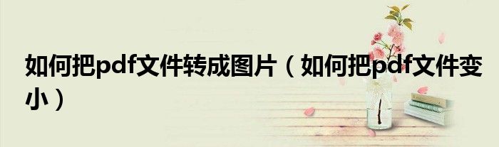 如何把pdf文件转成图片（如何把pdf文件变小）