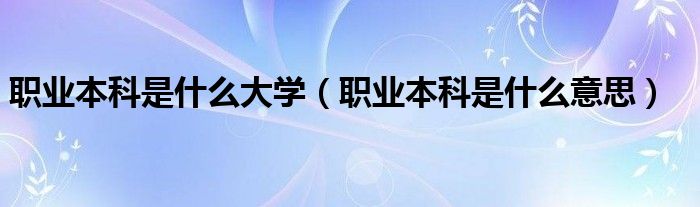 职业本科是什么大学（职业本科是什么意思）