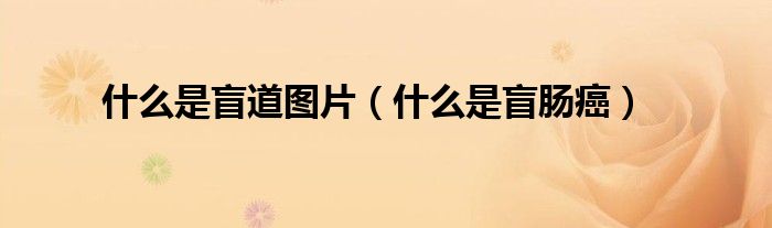 什么是盲道图片（什么是盲肠癌）
