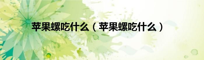 苹果螺吃什么（苹果螺吃什么）
