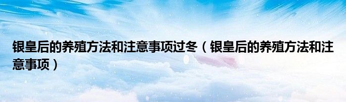 银皇后的养殖方法和注意事项过冬（银皇后的养殖方法和注意事项）