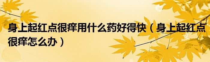 身上起红点很痒用什么药好得快（身上起红点很痒怎么办）