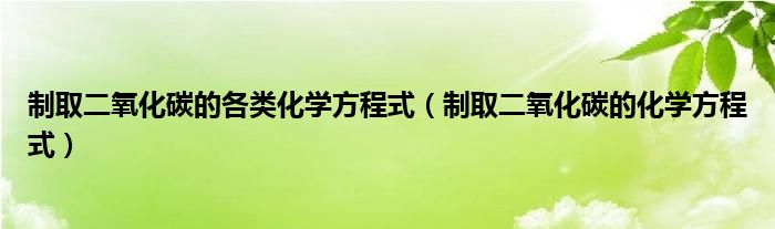 制取二氧化碳的各类化学方程式（制取二氧化碳的化学方程式）