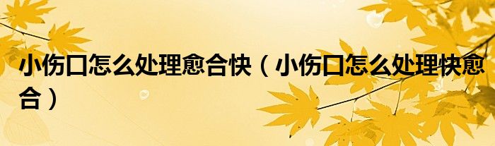 小伤口怎么处理愈合快（小伤口怎么处理快愈合）