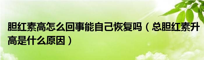 胆红素高怎么回事能自己恢复吗（总胆红素升高是什么原因）