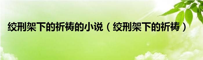 绞刑架下的祈祷的小说（绞刑架下的祈祷）