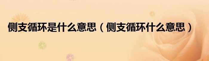 侧支循环是什么意思（侧支循环什么意思）