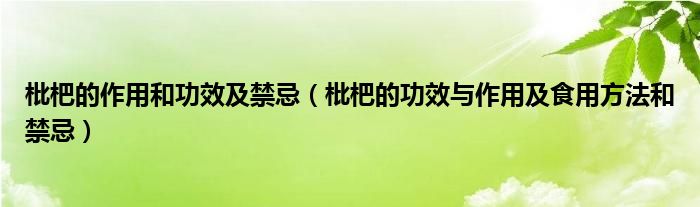 枇杷的作用和功效及禁忌（枇杷的功效与作用及食用方法和禁忌）