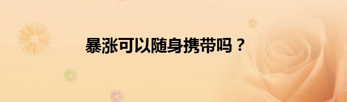 暴涨可以随身携带吗？