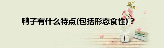 鸭子有什么特点(包括形态食性)？