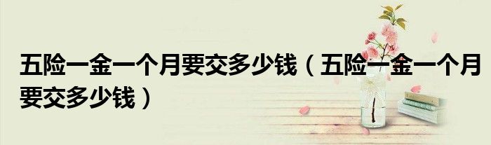 五险一金一个月要交多少钱（五险一金一个月要交多少钱）