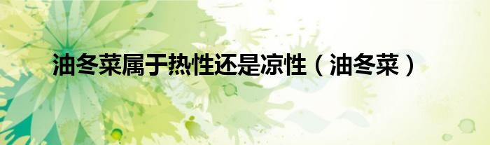油冬菜属于热性还是凉性（油冬菜）