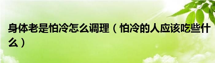 身体老是怕冷怎么调理（怕冷的人应该吃些什么）