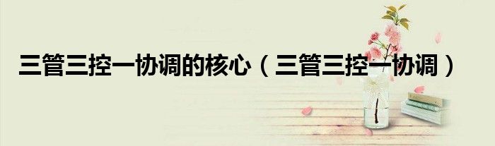 三管三控一协调的核心（三管三控一协调）