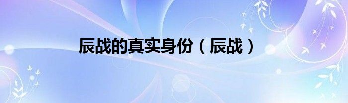 辰战的真实身份（辰战）