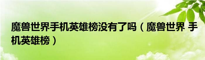魔兽世界手机英雄榜没有了吗（魔兽世界 手机英雄榜）