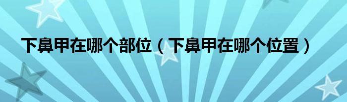 下鼻甲在哪个部位（下鼻甲在哪个位置）