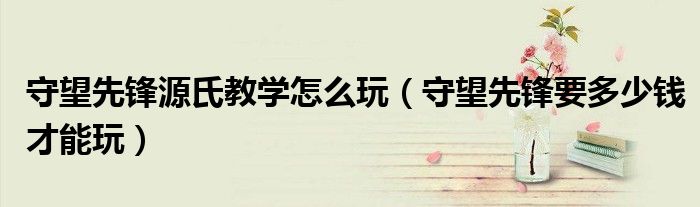 守望先锋源氏教学怎么玩（守望先锋要多少钱才能玩）