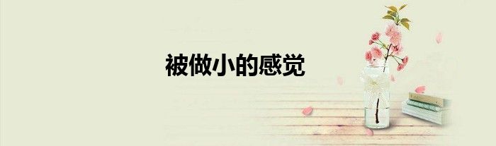 被做小的感觉