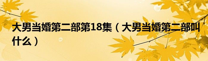 大男当婚第二部第18集（大男当婚第二部叫什么）