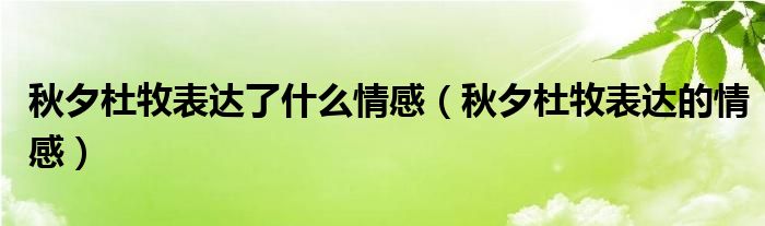 秋夕杜牧表达了什么情感（秋夕杜牧表达的情感）