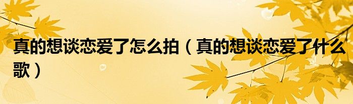 真的想谈恋爱了怎么拍（真的想谈恋爱了什么歌）