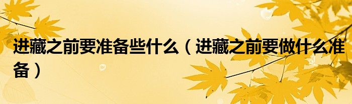 进藏之前要准备些什么（进藏之前要做什么准备）