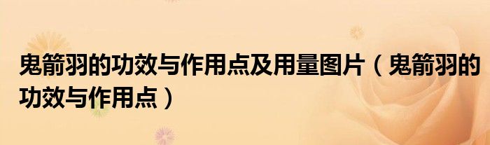 鬼箭羽的功效与作用点及用量图片（鬼箭羽的功效与作用点）