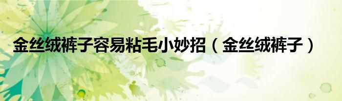 金丝绒裤子容易粘毛小妙招（金丝绒裤子）