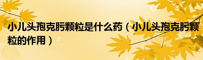 小儿头孢克肟颗粒是什么药（小儿头孢克肟颗粒的作用）