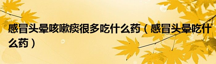 感冒头晕咳嗽痰很多吃什么药（感冒头晕吃什么药）