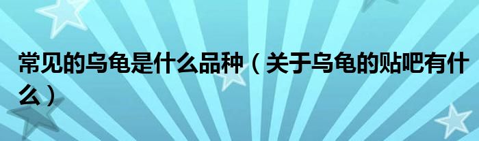 常见的乌龟是什么品种（关于乌龟的贴吧有什么）