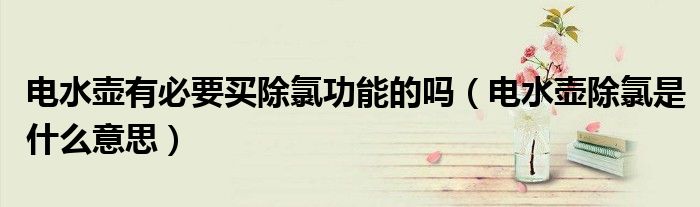 电水壶有必要买除氯功能的吗（电水壶除氯是什么意思）