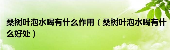 桑树叶泡水喝有什么作用（桑树叶泡水喝有什么好处）