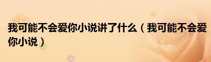 我可能不会爱你小说讲了什么（我可能不会爱你小说）