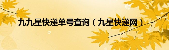 九九星快递单号查询（九星快递网）
