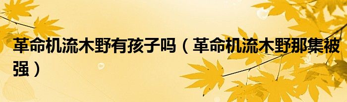 革命机流木野有孩子吗（革命机流木野那集被强）