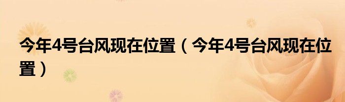 今年4号台风现在位置（今年4号台风现在位置）