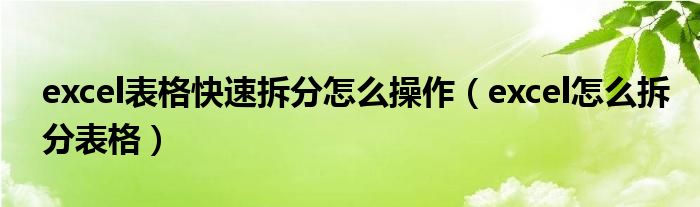 excel表格快速拆分怎么操作（excel怎么拆分表格）
