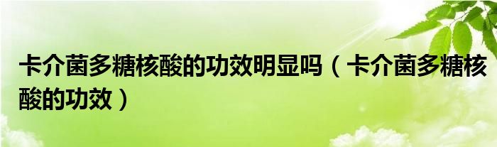 卡介菌多糖核酸的功效明显吗(卡介菌多糖核酸的功效)