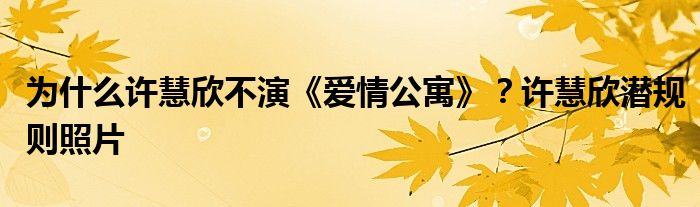 为什么许慧欣不演《爱情公寓》？许慧欣潜规则照片