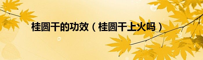 桂圆干的功效（桂圆干上火吗）