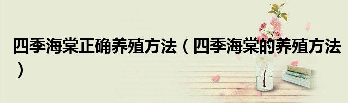 四季海棠正确养殖方法（四季海棠的养殖方法）
