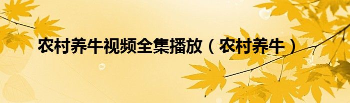 农村养牛视频全集播放（农村养牛）