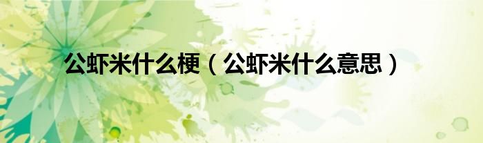 公虾米什么梗（公虾米什么意思）