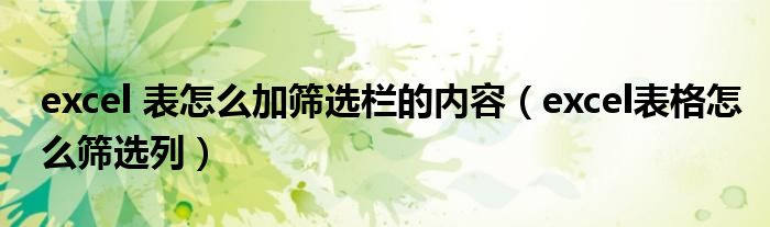 excel 表怎么加筛选栏的内容（excel表格怎么筛选列）