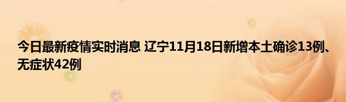 今日最新疫情实时消息 辽宁11月18日新增本土确诊13例、无症状42例