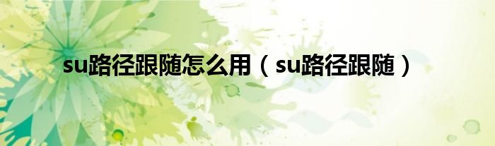 su路径跟随怎么用（su路径跟随）
